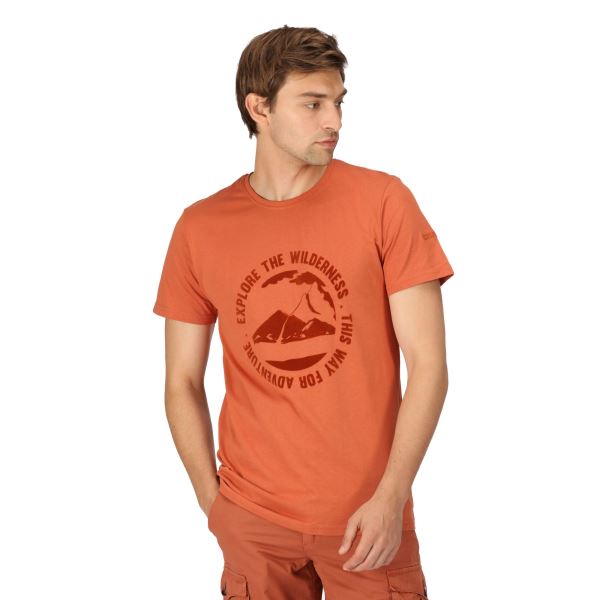 Pánske bavlnené tričko Regatta CLINE VII oranžová