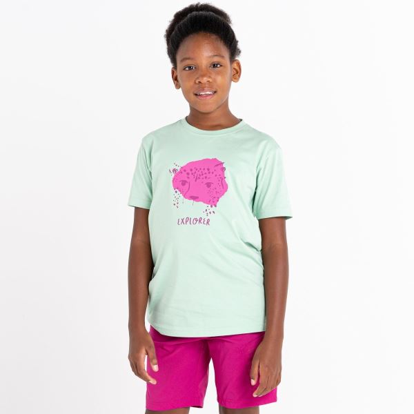 Detské bavlnené tričko Dare2b TRAILBLAZER svetlo zelená/ružová