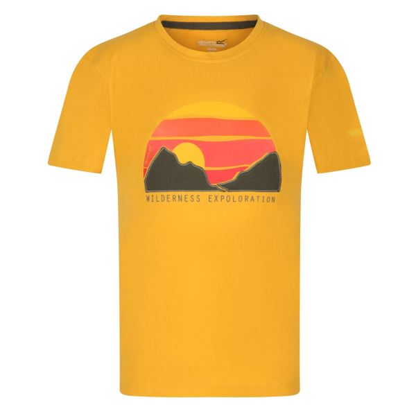 Detské tričko Regatta BOSLEY III žltá